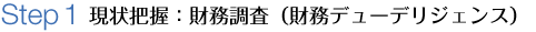 現状把握：財務調査（財務デューデリジェンス）